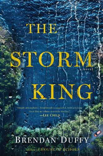 Cover image for The Storm King: A Novel