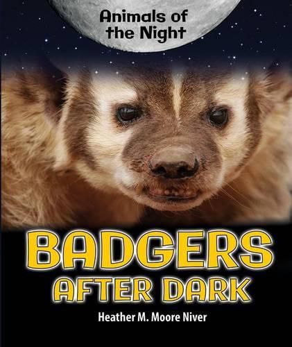 Cover image for Badgers After Dark