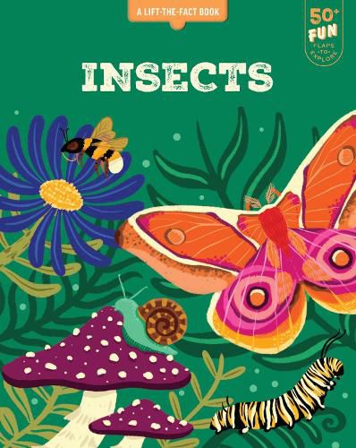 Cover image for Lift the Fact: Insects