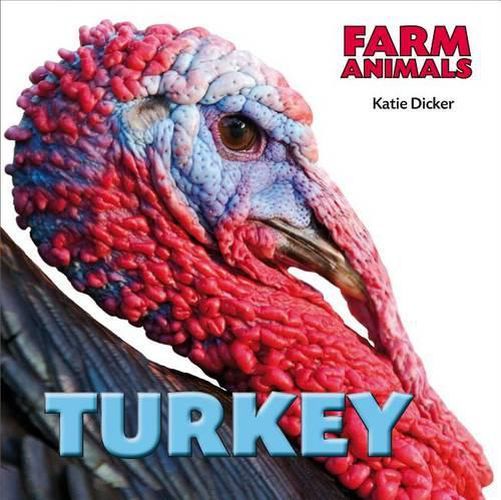 Cover image for Turkey