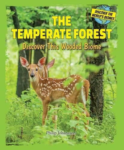 Cover image for The Temperate Forest: Discover This Wooded Biome