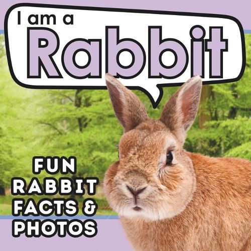 Cover image for I am a Rabbit