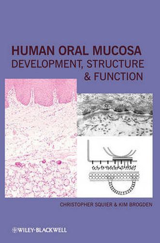 Cover image for Human Oral Mucosa: Development, Structure and Function