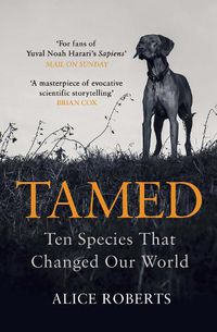 Cover image for Tamed: Ten Species that Changed our World