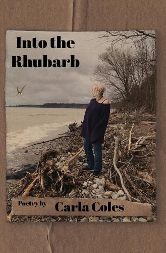 Cover image for Into the Rhubarb