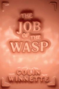 Cover image for The Job of the Wasp: A Novel