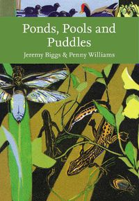 Cover image for Ponds, Pools and Puddles