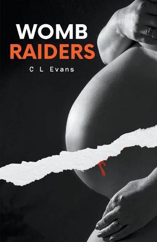 Cover image for Womb Raiders