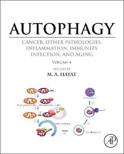Cover image for Autophagy: Cancer, Other Pathologies, Inflammation, Immunity, Infection, and Aging: Volume 4 Mitophagy
