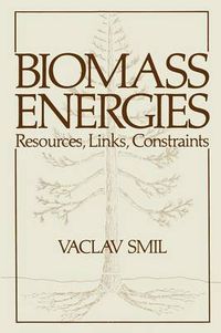 Cover image for Biomass Energies: Resources, Links, Constraints