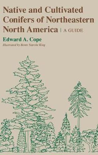 Cover image for Native and Cultivated Conifers of Northeastern North America: A Guide