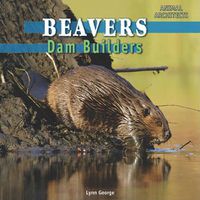 Cover image for Beavers