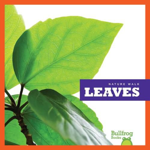Cover image for Leaves