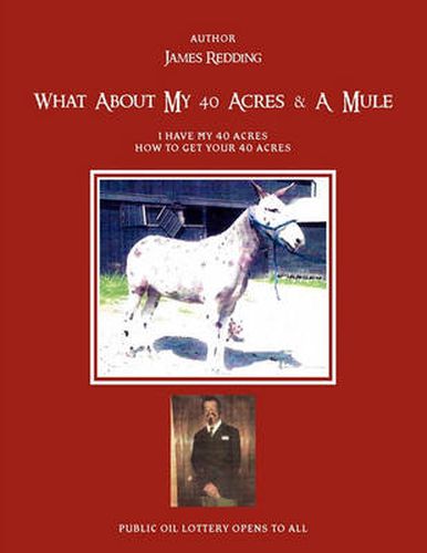Cover image for What about My 40 Acres & a Mule