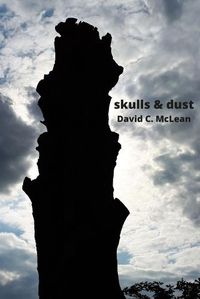 Cover image for skulls & dust