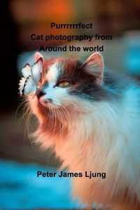 Cover image for PURRRRRRFECT Cat photography