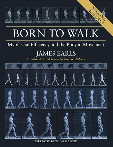 Cover image for Born to Walk, Second Edition: Myofascial Efficiency and the Body in Movement