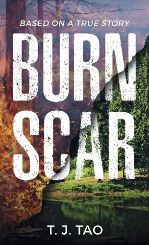 Cover image for Burn Scar: A Contemporary Disaster Thriller