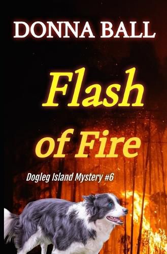 Cover image for Flash of Fire