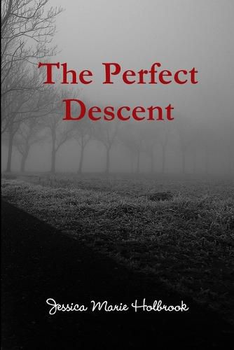 Cover image for The Perfect Descent