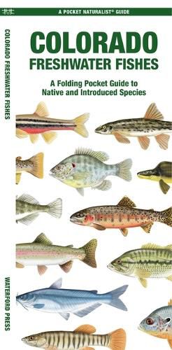 Cover image for Colorado Freshwater Fishes