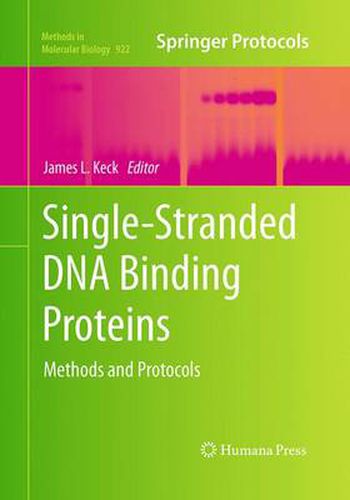 Cover image for Single-Stranded DNA Binding Proteins: Methods and Protocols