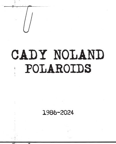 Cover image for Cady Noland