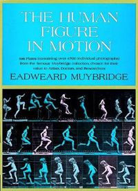 Cover image for The Human Figure in Motion