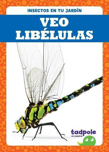 Veo Libelulas