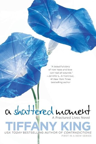 Cover image for A Shattered Moment