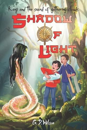 Cover image for Shadow of Light