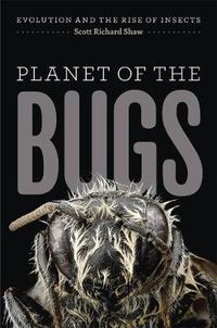 Cover image for Planet of the Bugs