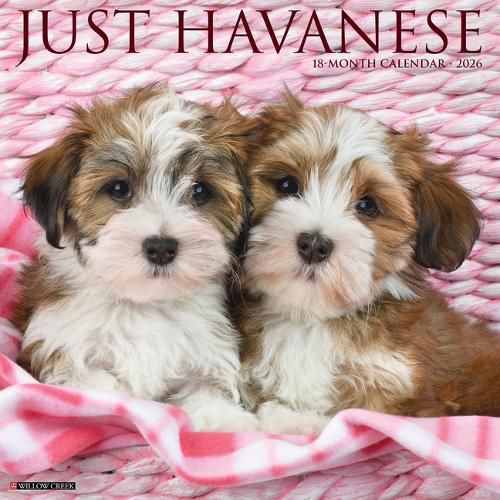 Cover image for Havanese 2026 12 X 12 Wall Calendar