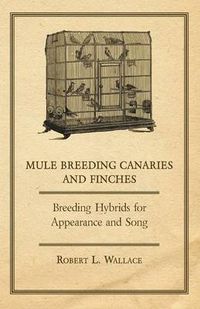 Cover image for Mule Breeding Canaries and Finches - Breeding Hybrids for Appearance and Song