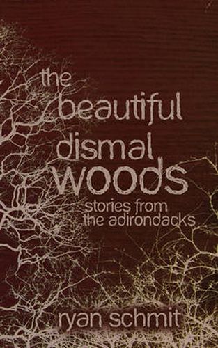 Cover image for The Beautiful Dismal Woods: Short Stories from the Adirondacks