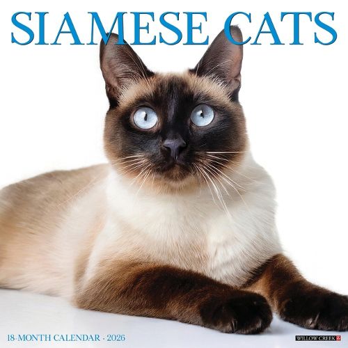 Cover image for Siamese Cats 2026 12 X 12 Wall Calendar
