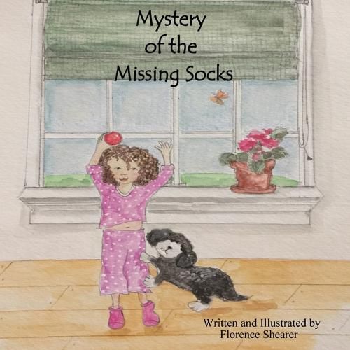 Cover image for Mystery of the Missing Socks