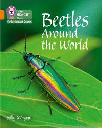 Cover image for Beetles Around the World: Band 06/Orange