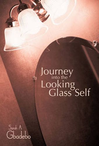 Cover image for Journey Into the Looking Glass Self