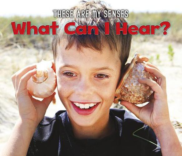 Cover image for What Can I Hear?