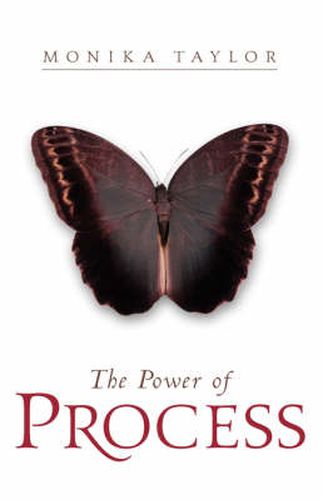 Cover image for The Power of Process