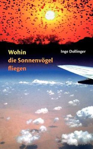 Cover image for Wohin die Sonnenvoegel fliegen