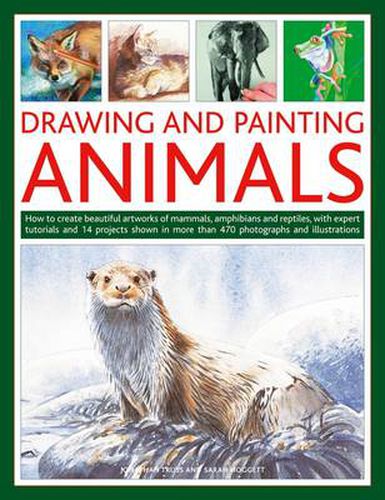 Cover image for Drawing and Painting Animals