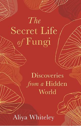 Cover image for The Secret Life of Fungi: Discoveries From a Hidden World