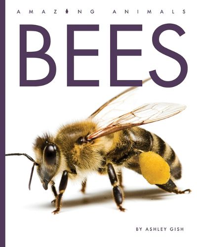 Cover image for Bees