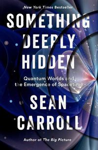 Cover image for Something Deeply Hidden: Quantum Worlds and the Emergence of Spacetime