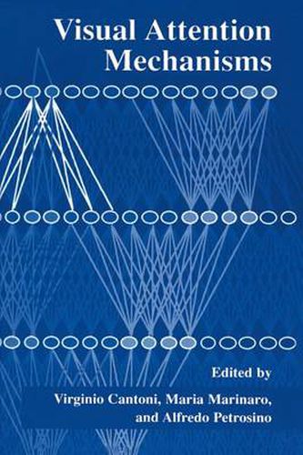 Cover image for Visual Attention Mechanisms