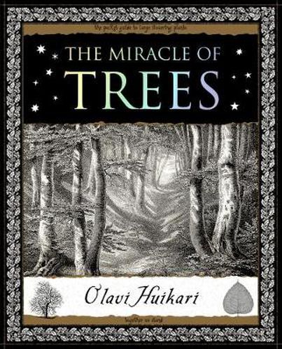 Cover image for The Miracle of Trees: Their Life and Biology