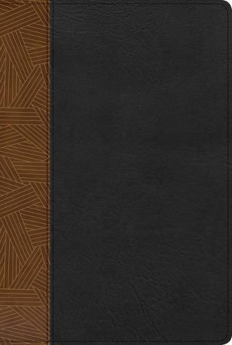 Cover image for RVR 1960 Biblia de Estudio Arco Iris, tostado/negro simil pi