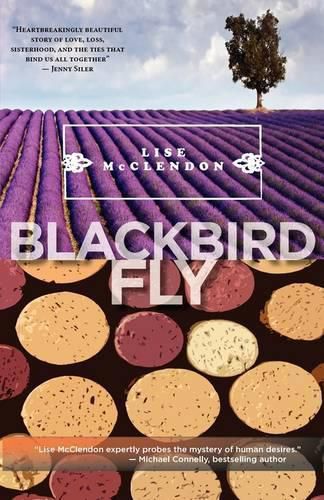 Cover image for Blackbird Fly